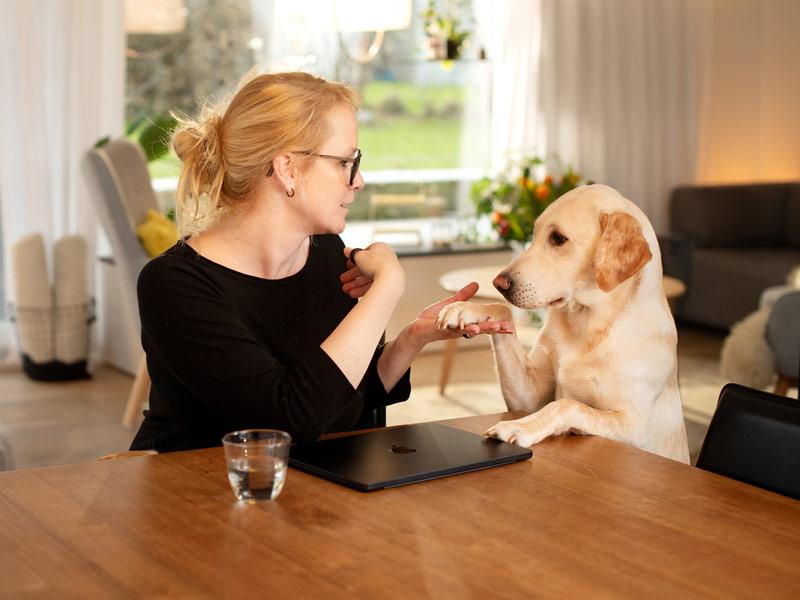 Frau streichelt Hund in Wohnung