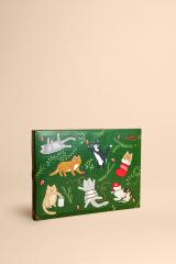 Calendrier de l'Avent pour chats